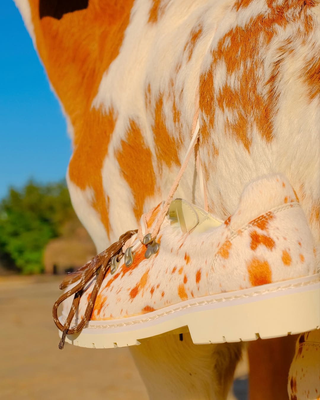 CRICLE CAGE x LC23 MOUNTAIN DERBY - PINTO – Cricle Cage